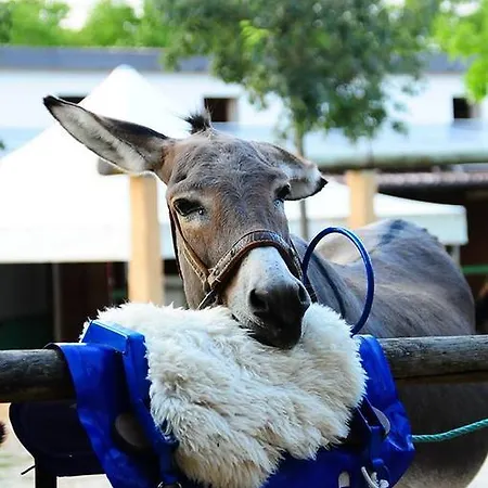 Locanda Dell'asino D'oro * Sulmona