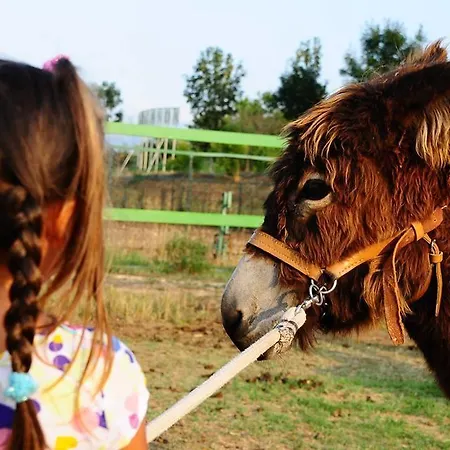 Gospodarstwo agroturystyczne Locanda Dell'asino D'oro
