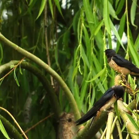 Locanda Dell'asino D'oro *
