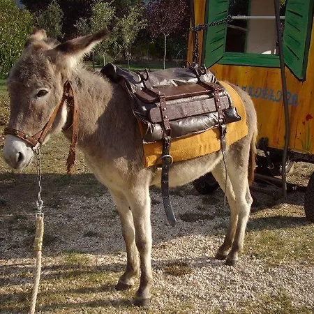Locanda Dell'asino D'oro * Sulmona