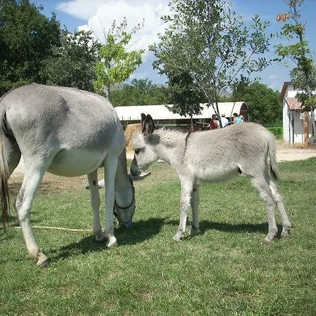 Locanda Dell'asino D'oro