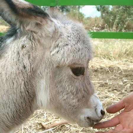 Farm stay Locanda Dell'asino D'oro *