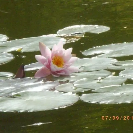 Locanda Dell'asino D'oro Sulmona