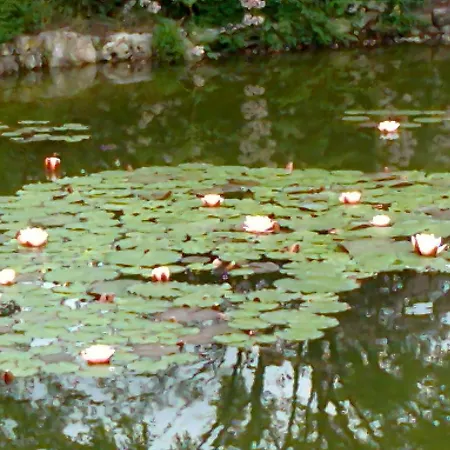 Farm stay Locanda Dell'asino D'oro *