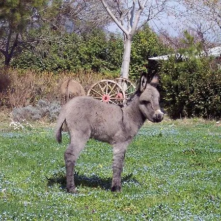 Locanda Dell'asino D'oro Gospodarstwo agroturystyczne Sulmona