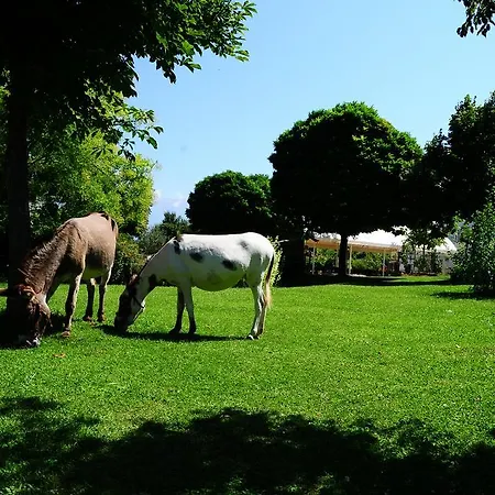 Farm stay Locanda Dell'asino D'oro *