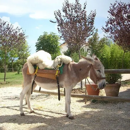 Locanda Dell'asino D'oro * Sulmona
