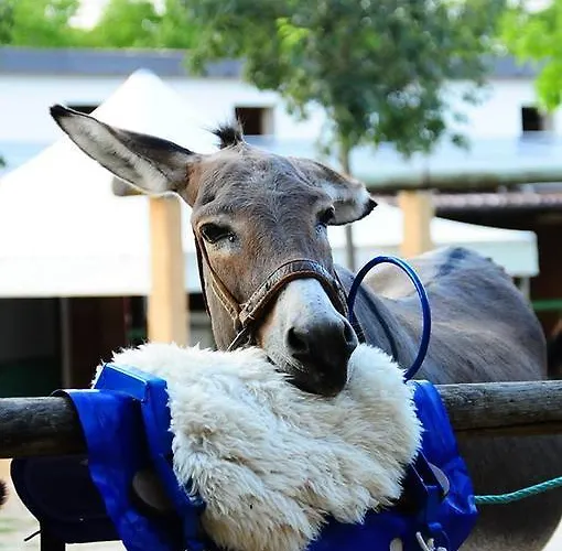 Locanda Dell'asino D'oro * Sulmona