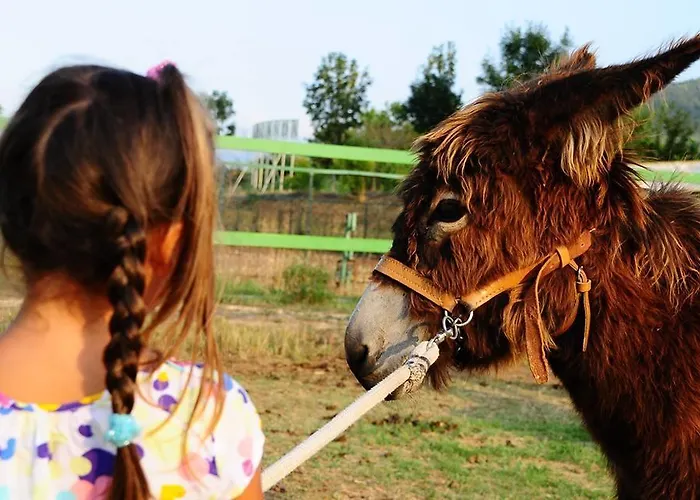 Agroturismo Locanda Dell'asino D'oro