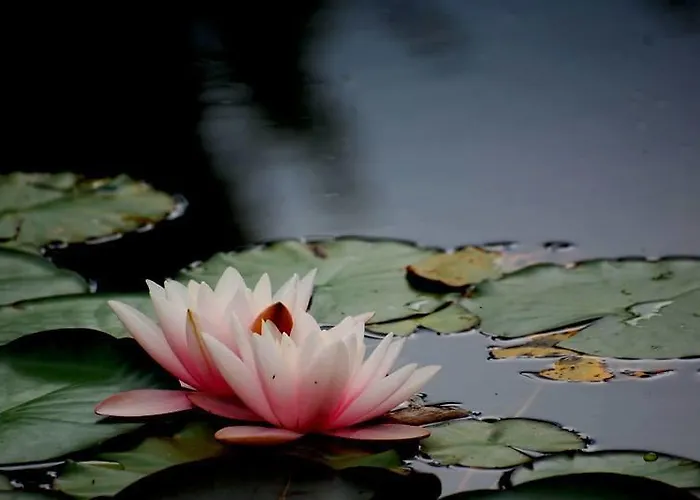 Locanda Dell'asino D'oro Agroturismo