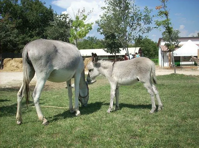 Locanda Dell'asino D'oro