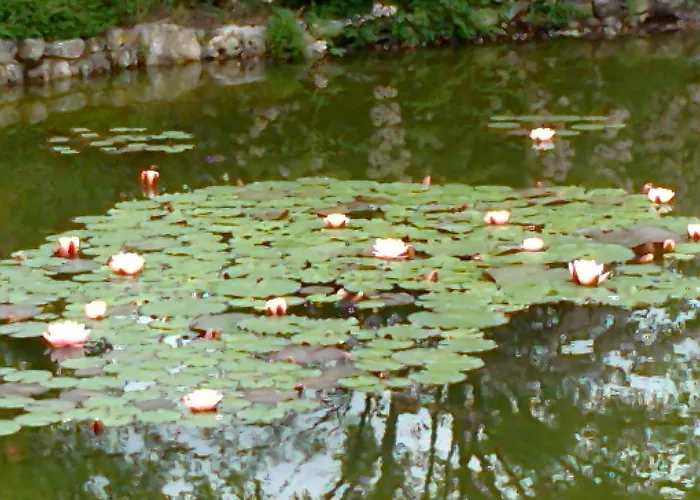 Agroturismo Locanda Dell'asino D'oro *