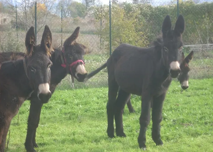 Locanda Dell'asino D'oro * Sulmona