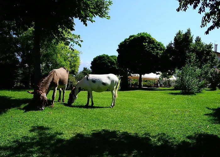 Alloggio per agriturismo Locanda Dell'asino D'oro *