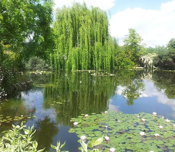 Locanda Dell'asino D'oro